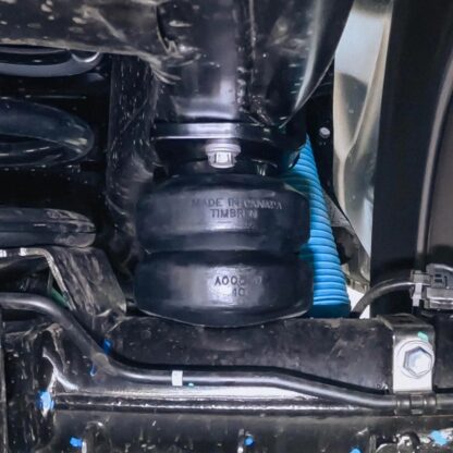 Timbren TORSEQ3 SES Suspension Bumps REAR | 2026 Toyota 4Runner 4wd - Image 3